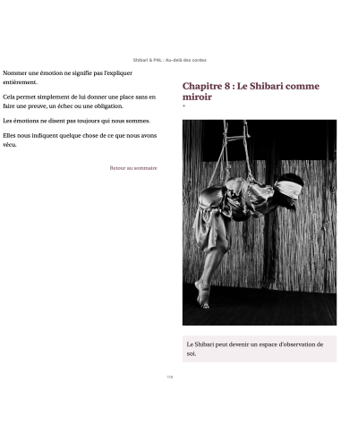 SHIBARI & PNL