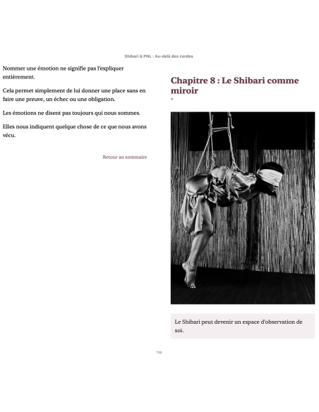 SHIBARI & PNL