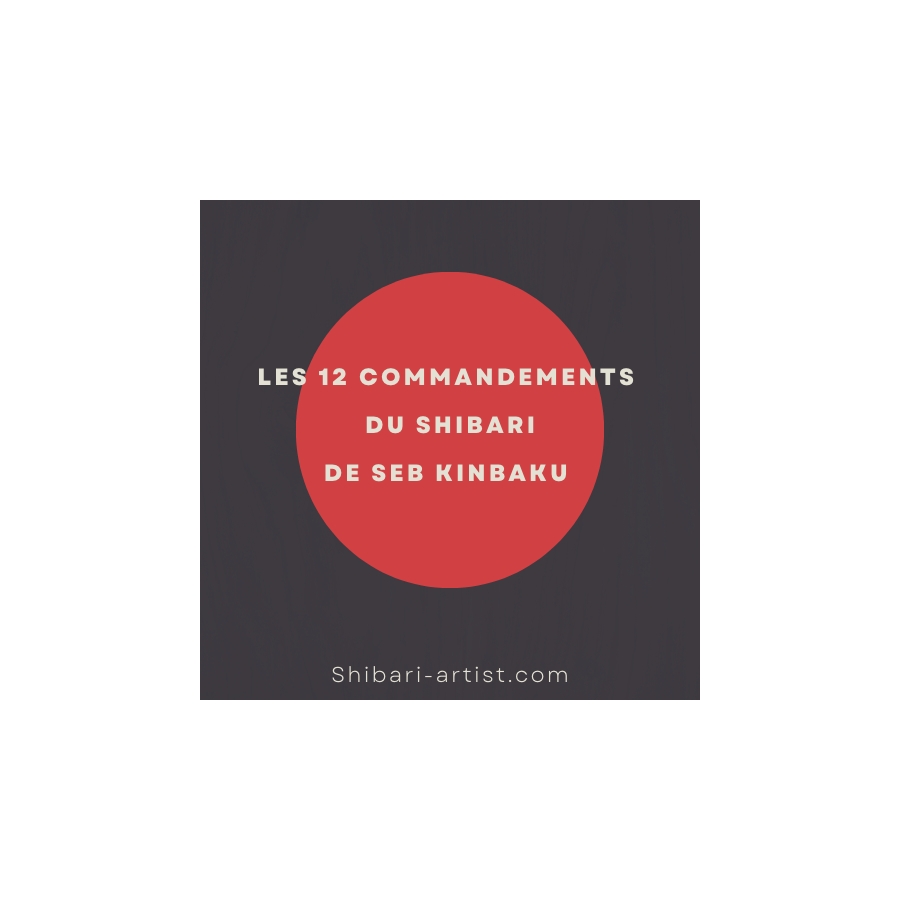 LES 12 COMMANDEMENTS DU SHIBARI
