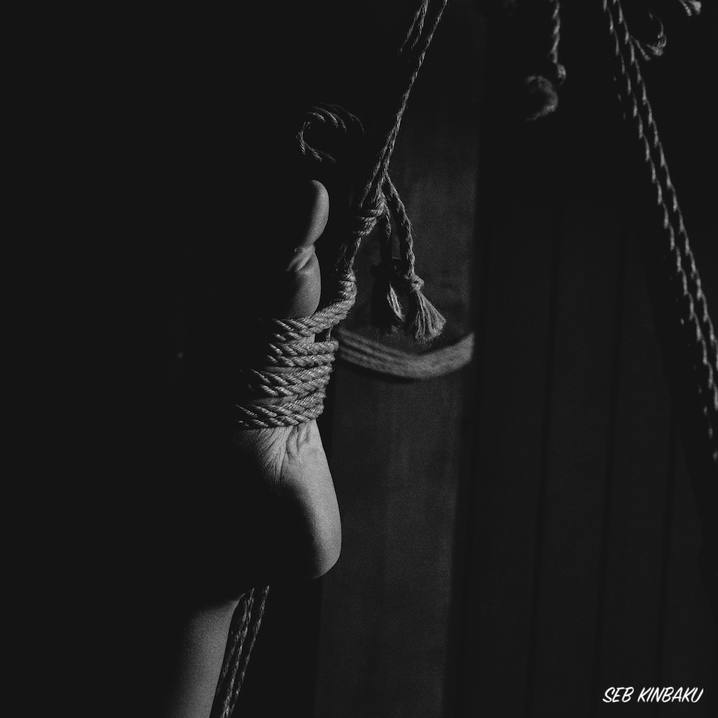 Shibari et Confiance : Un Lien Essentiel B.D.S 